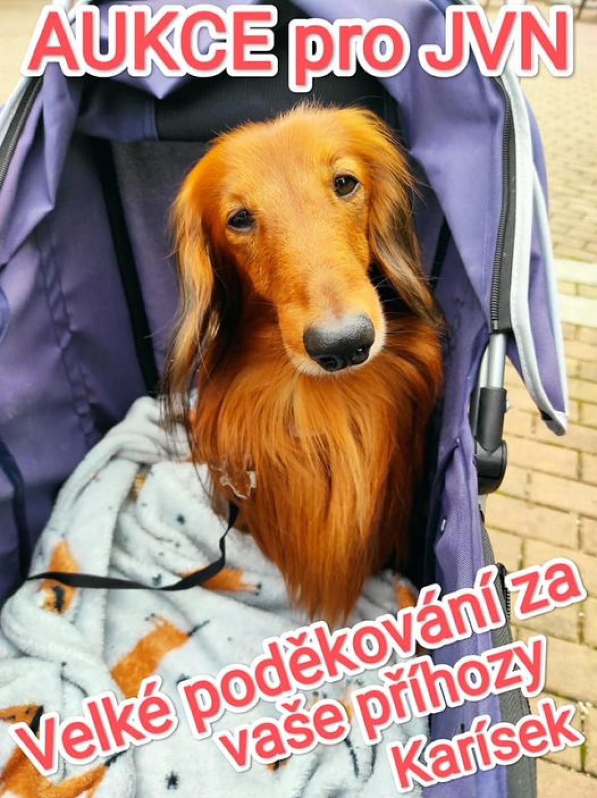 Úžasňákovi Karísek a jeho panička Helenka jedou jak draci!