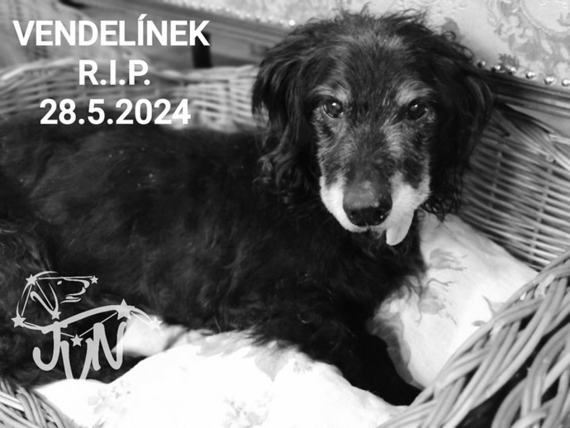 VENDELÍNEK R.I.P.