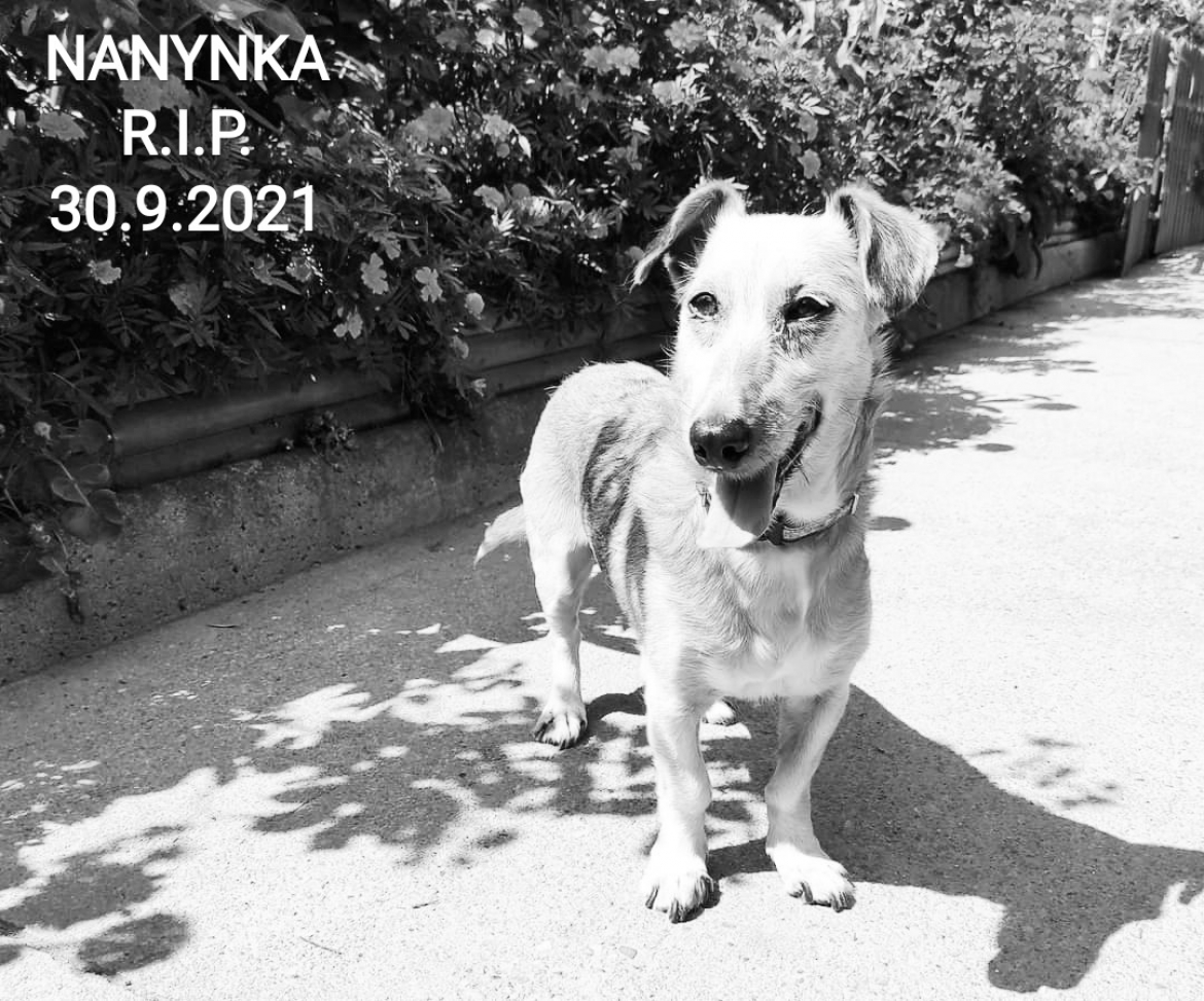 Nanynka R.I.P.