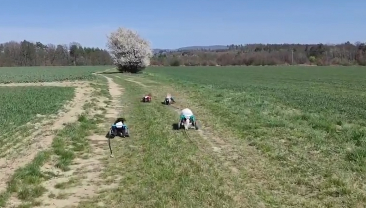 Dnes máme sluníčko, je třeba pořádně vyvětrat káry