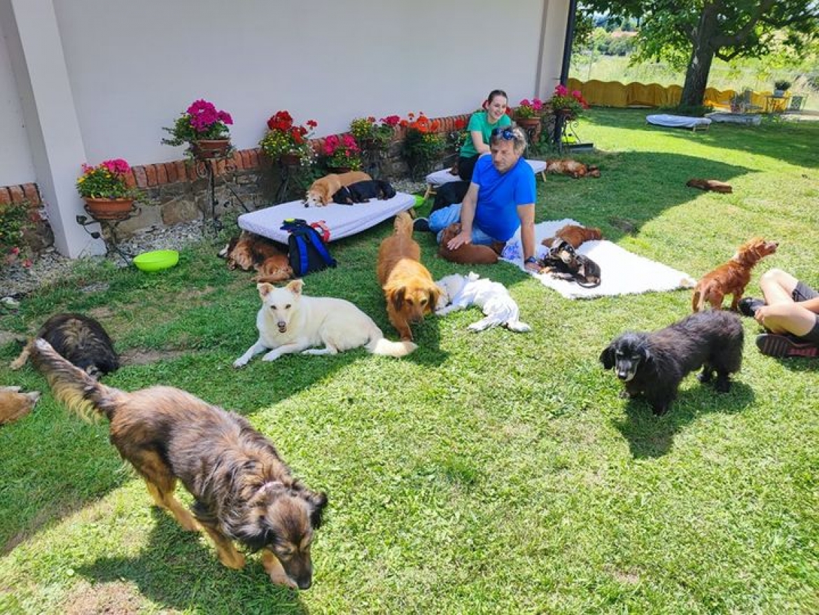 Přijel se na nás podívat náš Zdeneček s adopťačkou Bobinkou