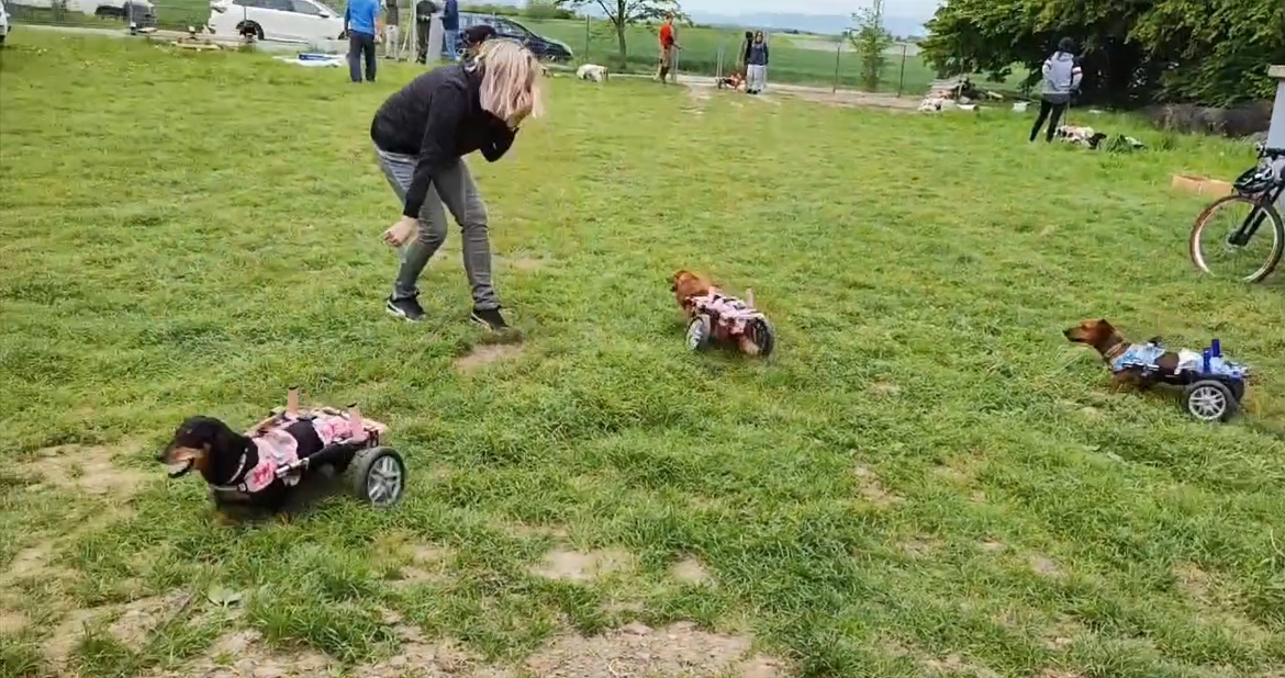 Kamarádi, pamatujete si toto video? Je z 14.5.2023, tzn. přesně před rokem!