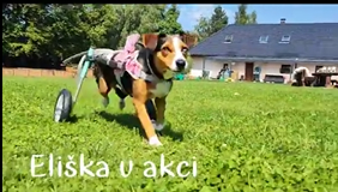 Eliška v akci