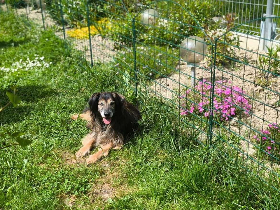 Ahoooj, kamarádi. Máme tady středu. Čas otázek a odpovědí