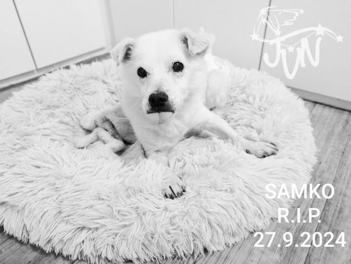 SAMKO  R.I.P.