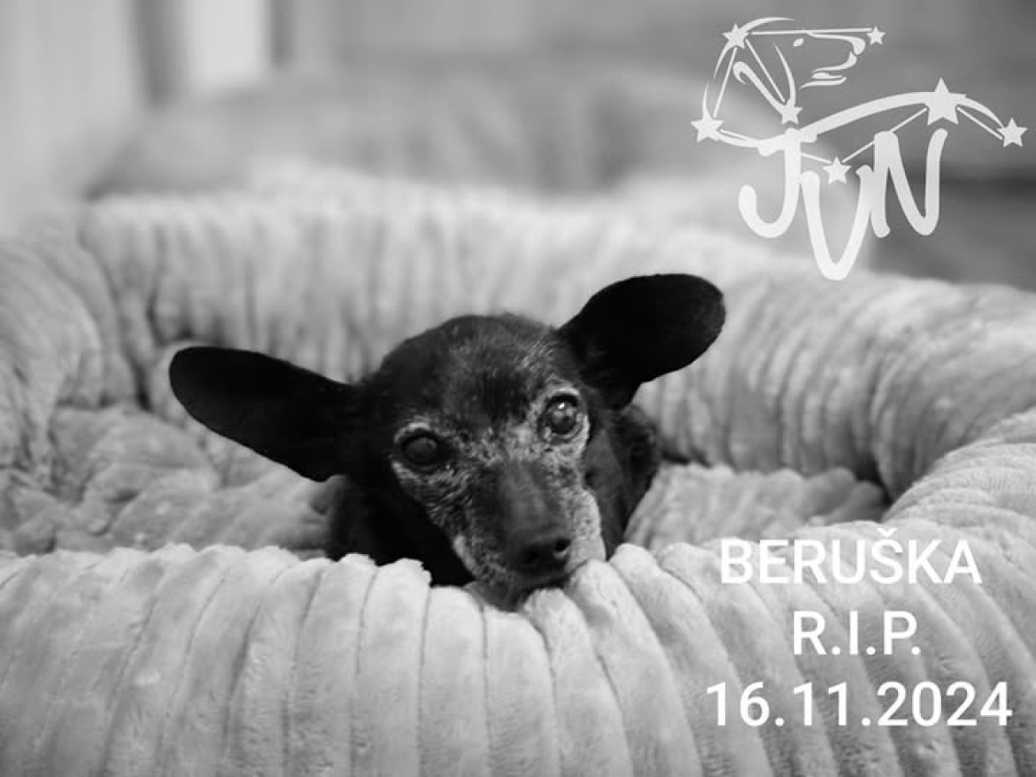 BERUŠKA R.I.P.