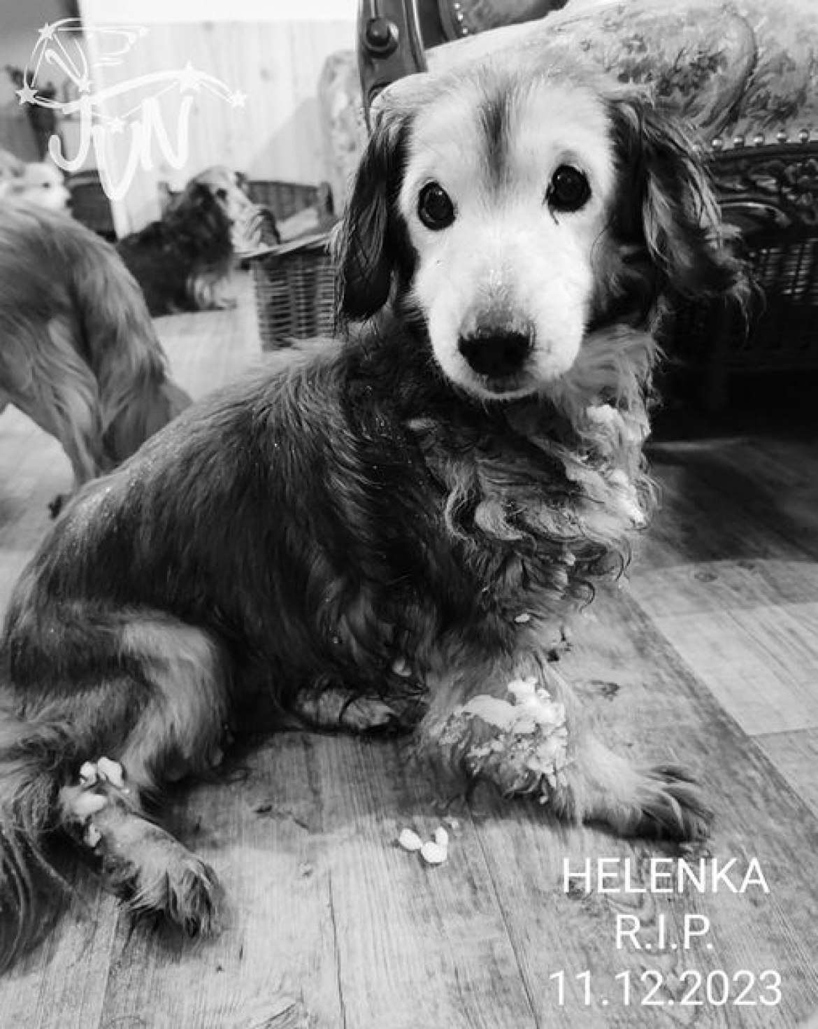 Helenka R.I.P.