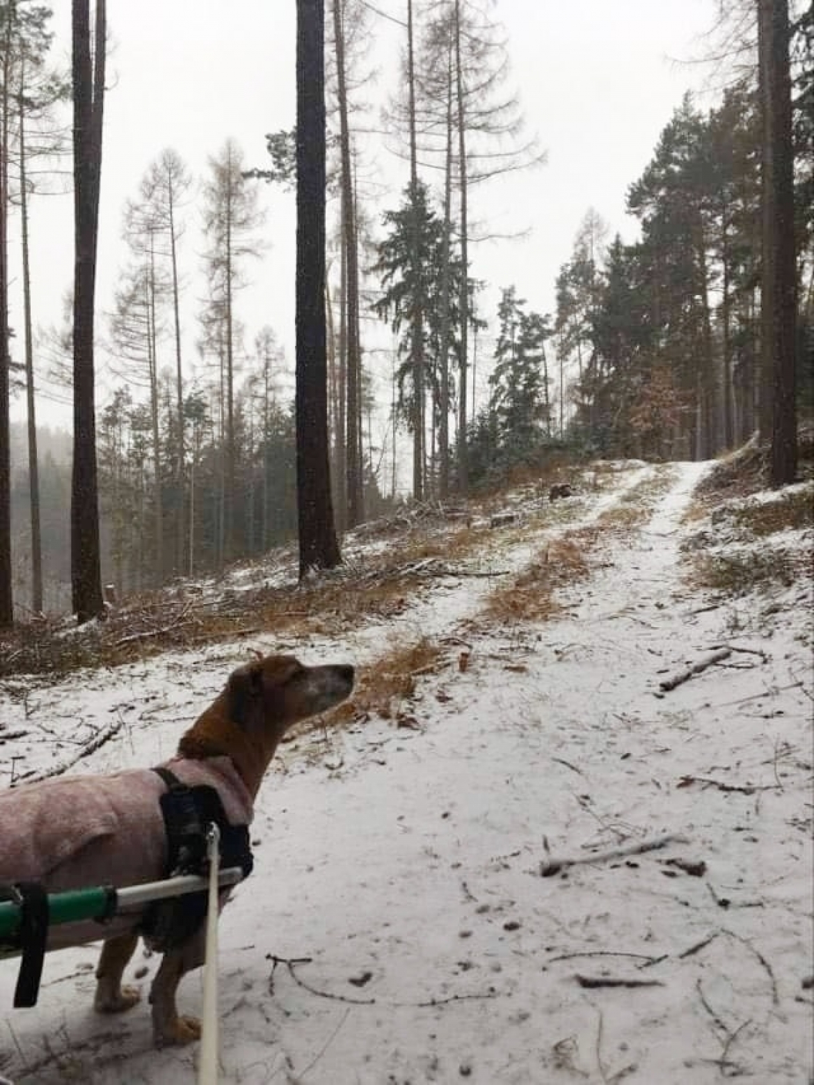 Kamarádi, nový rok, nová cesta