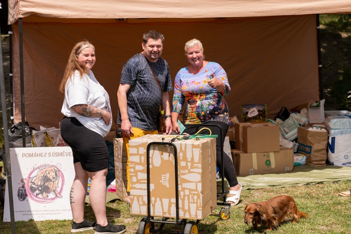 Psí den s úsměvem 17.6.2023 fotoaparátem adoptivního psího taťky naší Věrušky pana úžasného Pavla Šibíčka