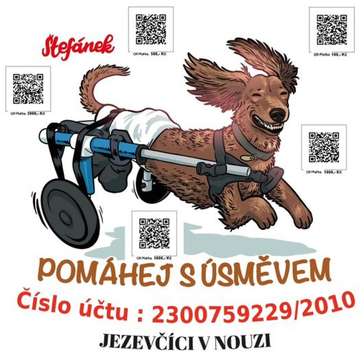 Kamarádi, teď jsme uhradili fakturu za veterinární ošetření za měsíc srpen