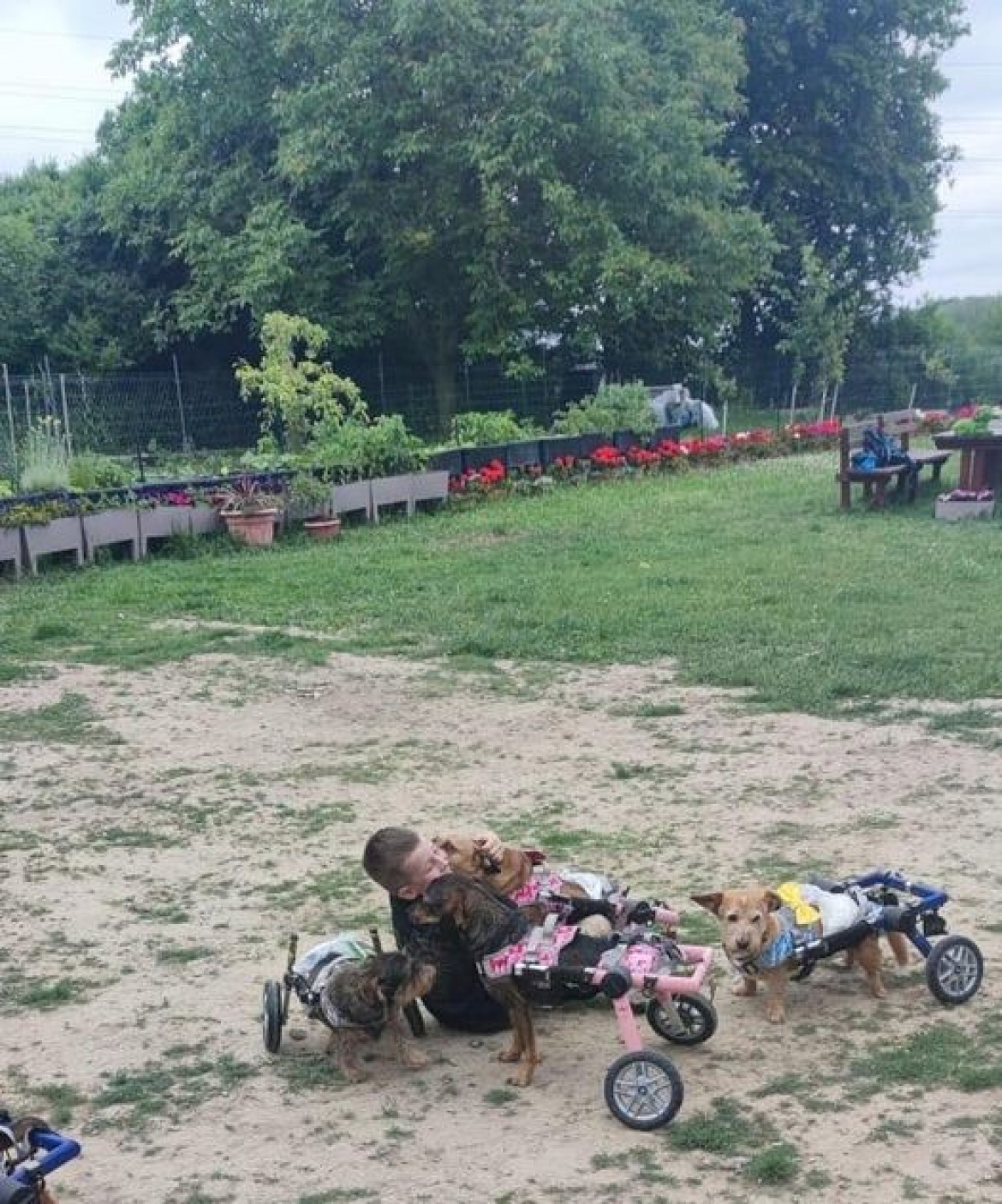 Dnešní odpoledne s námi v Domově Efef strávila úžasná rodina Sobkova