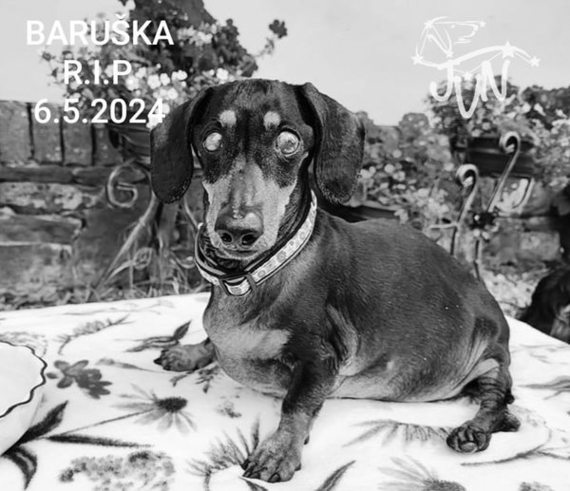 BARUŠKA R.I.P.