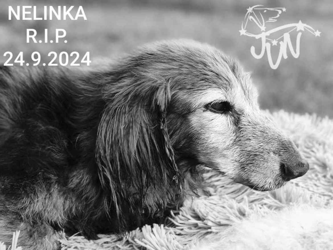 NELINKA R.I.P.