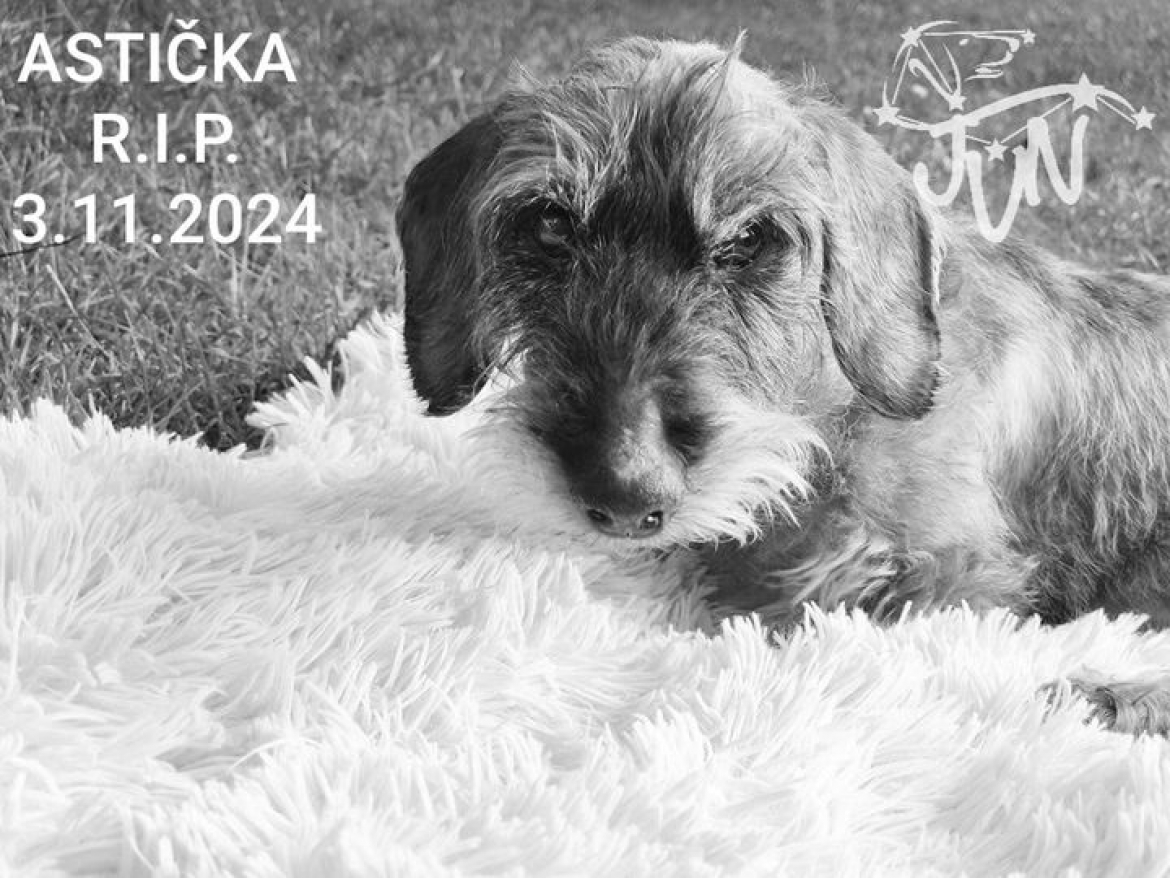 ASTIČKA R.I.P.