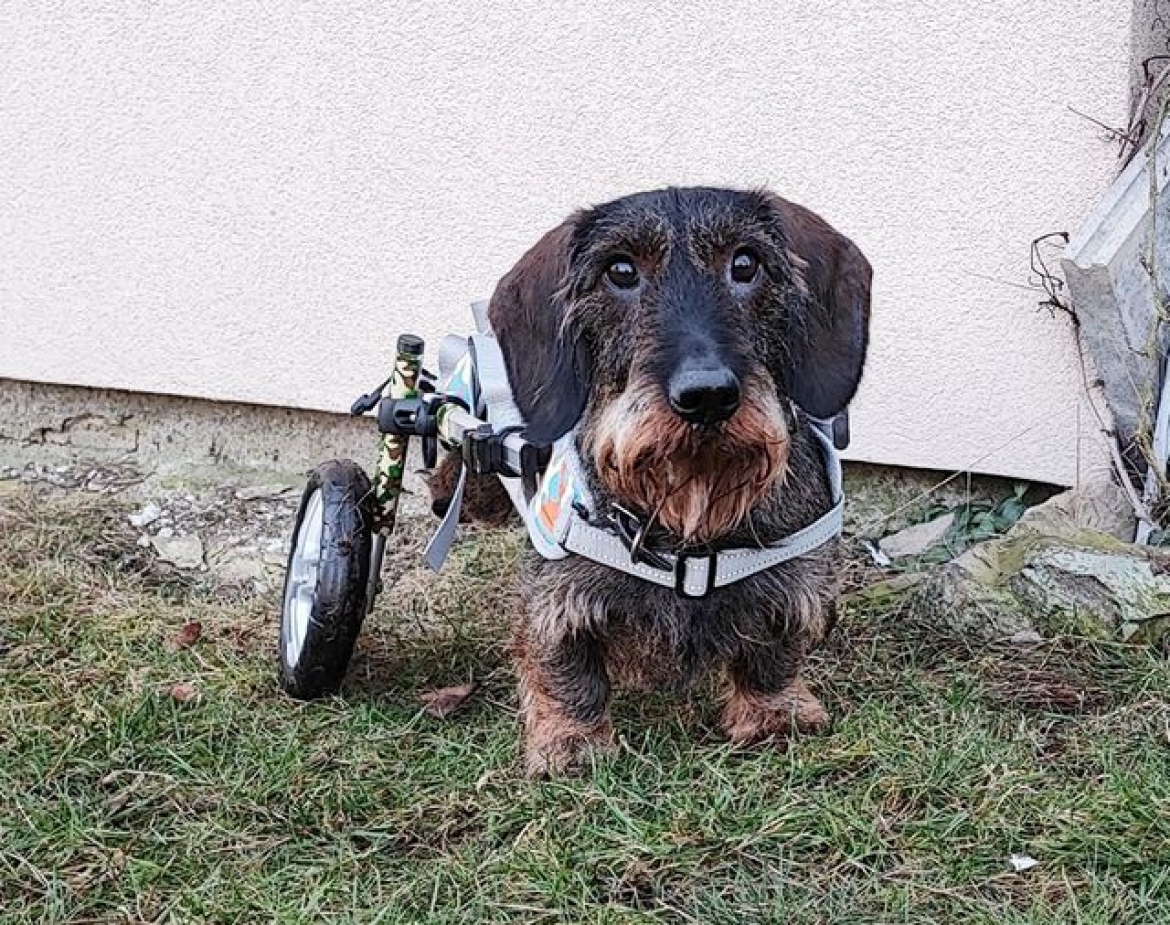 Kamarádi, dnes jsem zkusil káru a musím říci, že to bude cajk