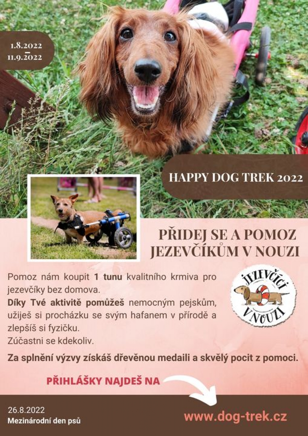 Happy dog trek 2022 nám stále běží