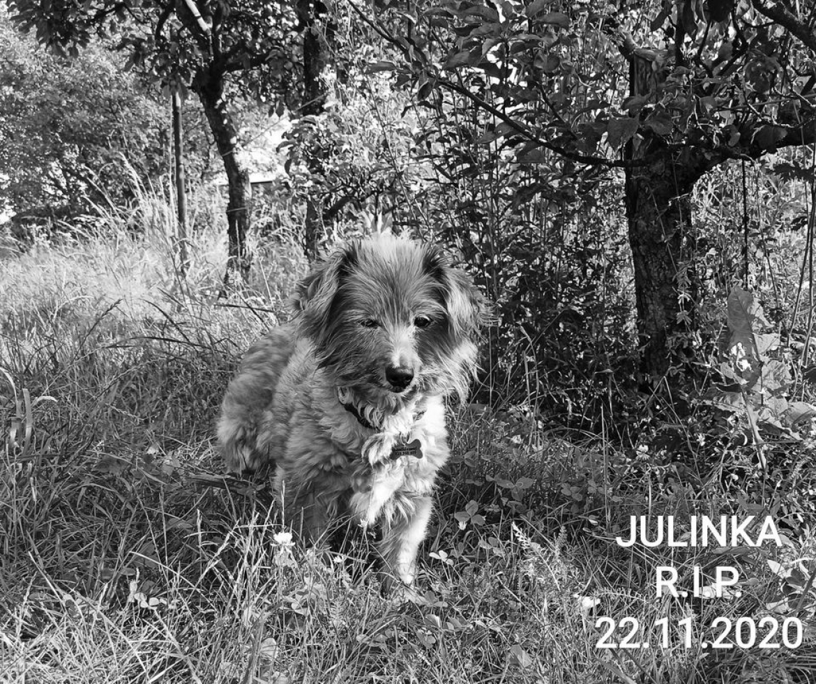 JULINKA