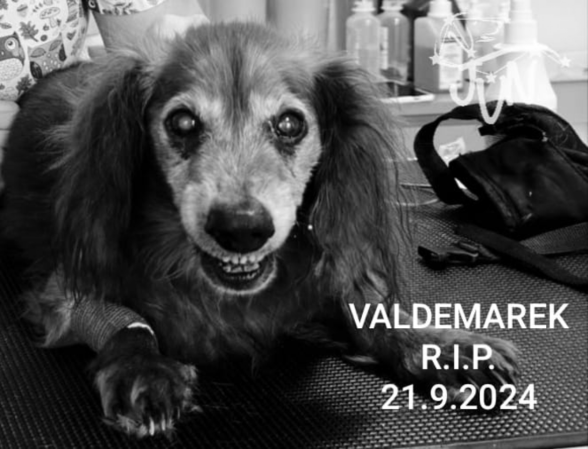 VALDEMAREK R.I.P.