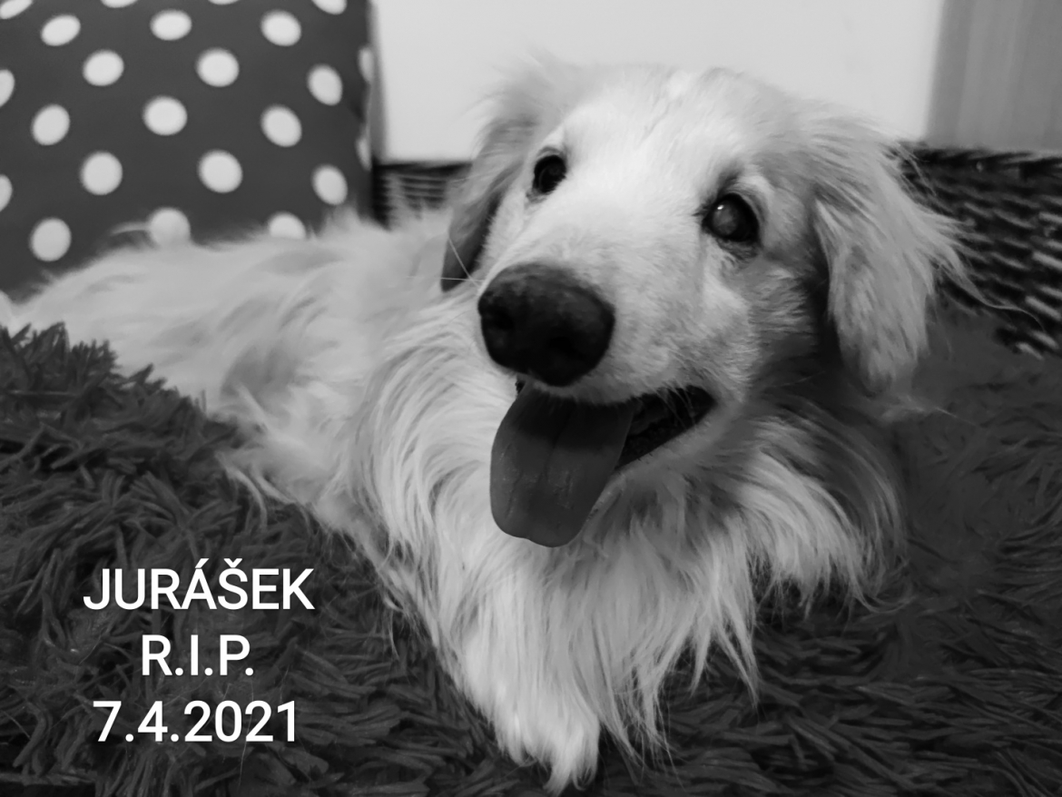 JURÁŠEK R.I.P.