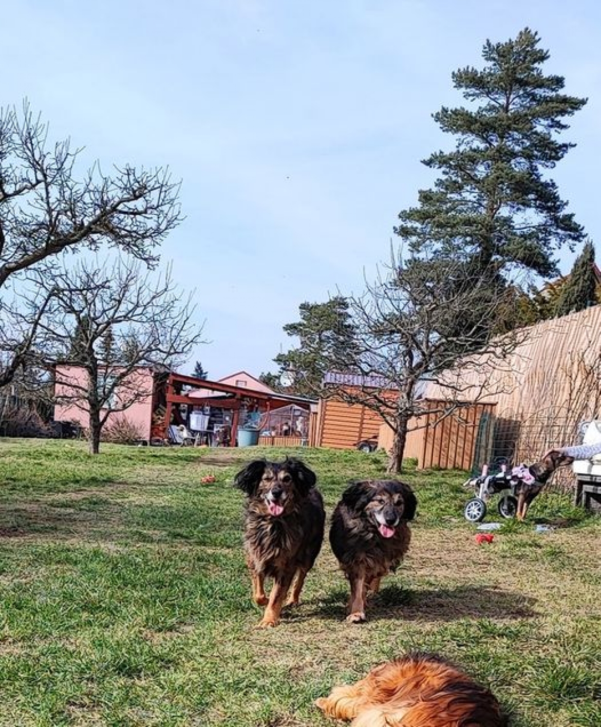 Babušky, Belinka a Zuzanka, matka s dcerou, stále spolu