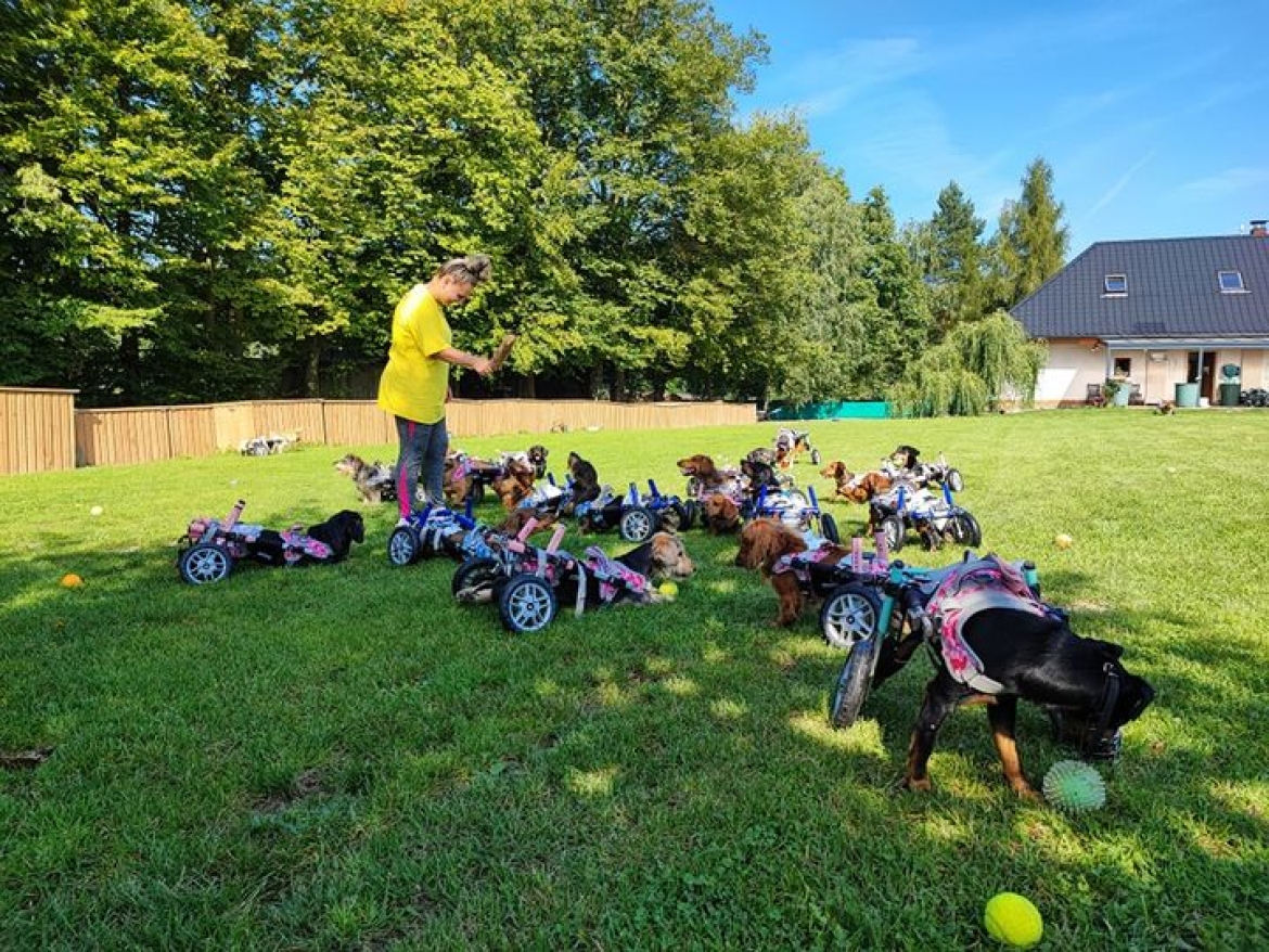 Již tuto sobotu je poslední letošní Den otevřených dveří v JVN Domově Efef