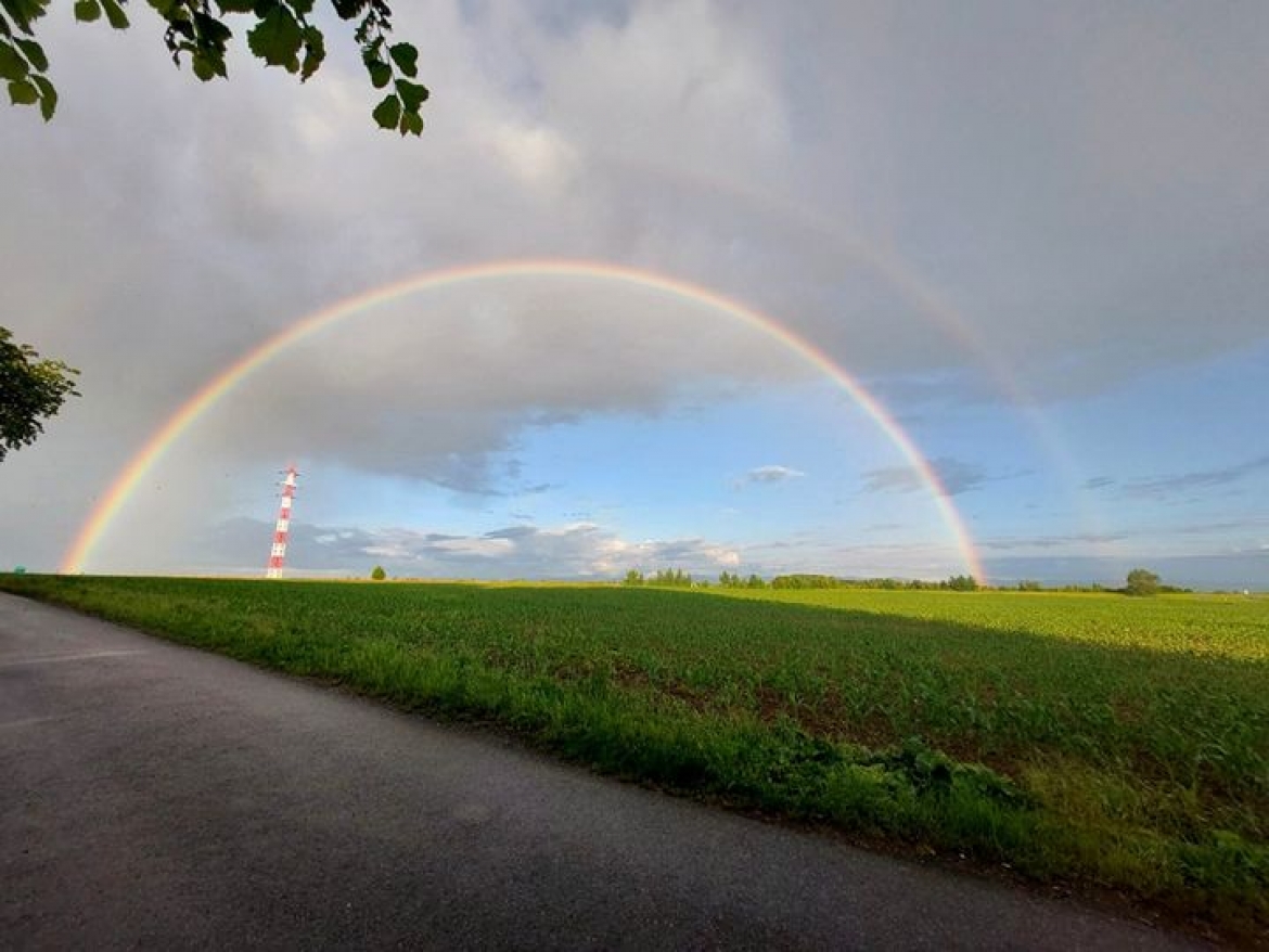 Kamarádi, krásné pondělní ráno