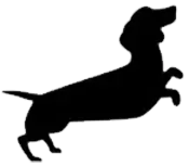 Jezevčíci v nouzi - adopce