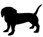 Jezevčíci v nouzi - finanční pomoc