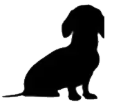 Jezevčíci v nouzi - materiální pomoc